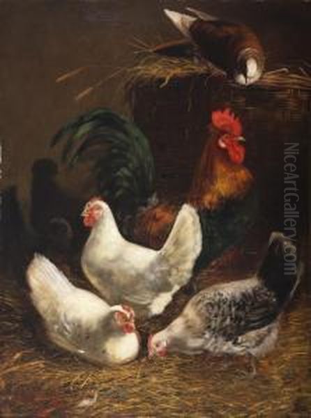 Poultry Oil Painting by Dirk Peter Van Lokhorst