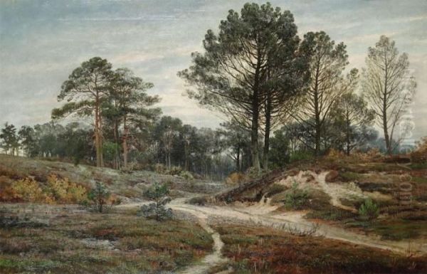 Moorland With Trees Oil Painting by Gerard Jozef Adrian Van Luppen