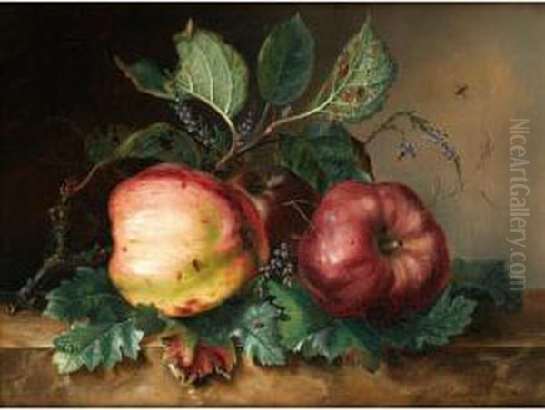 Les Deux Pommes [j*** Van Marcke ; Still Life With Two Apples ; Oil On Canvas Signed And Dated 1842] Oil Painting by Julie Palmyre Van Marcke-Robert