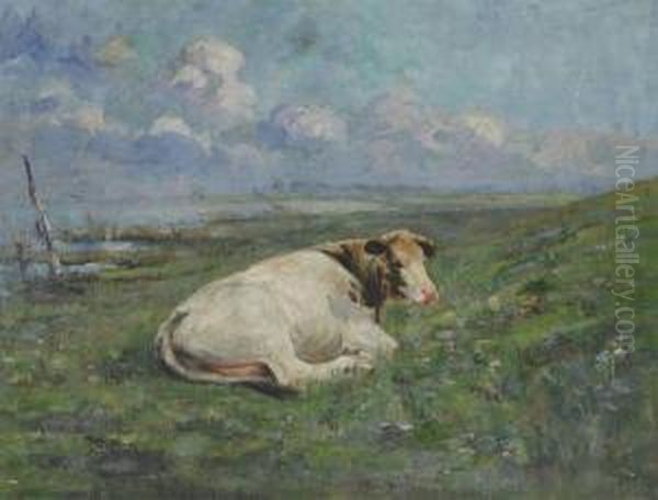 Cow Lying On The River Bank Oil Painting by Henri Van Muyden