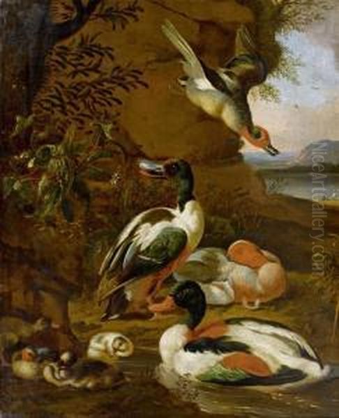 Poultry Oil Painting by Adriaen van Oolen