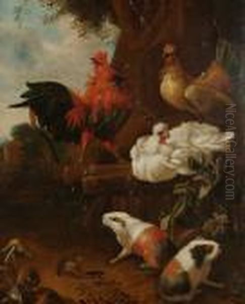 A Cockerel, Hens, Guinea Pigs And A Toad In A Garden Oil Painting by Jan Van Oolen