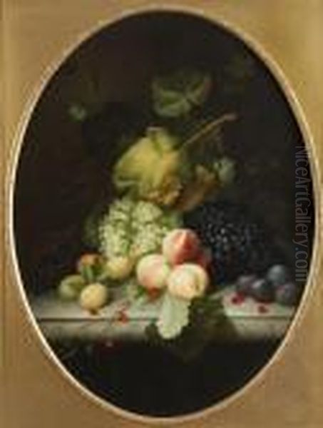 Still Life Of Peaches, Grapes, Plum And Cherries On A Marble Ledge Oil Painting by Jan van Os