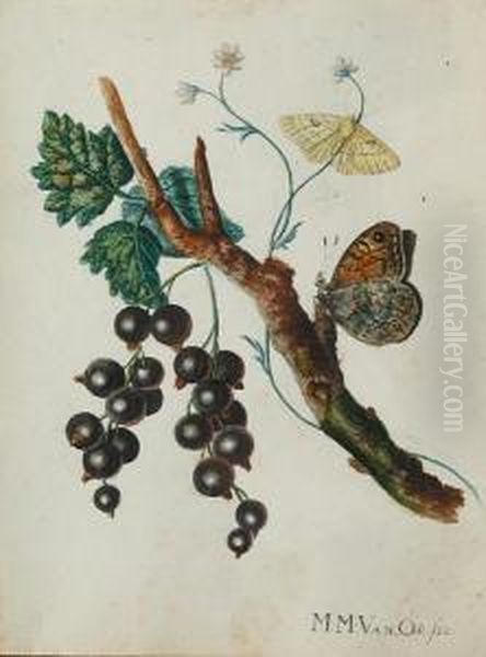 Butterflies And Blackcurrants Oil Painting by Maria Margrita Van Os