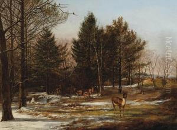 A Wooded Winter Landscape With Deers Oil Painting by Pieter Gerardus Van Os