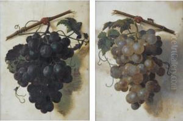 A Still Life Of Green Grapes; A Still Life Of Red Grapes Oil Painting by Christiaan van Pol