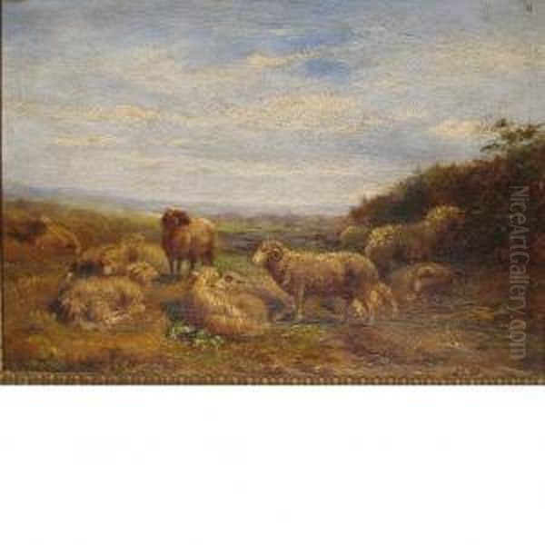 Sheep In A Landscape Oil Painting by Albert Jurardus van Prooijen