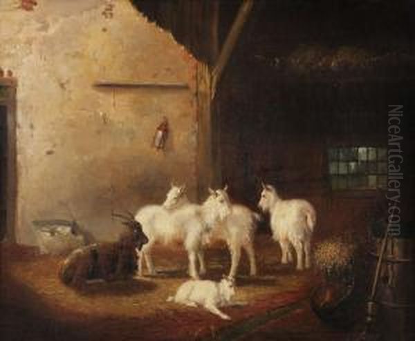 Bok En Geiten In De Stal Oil Painting by Jan Van Ravenswaay