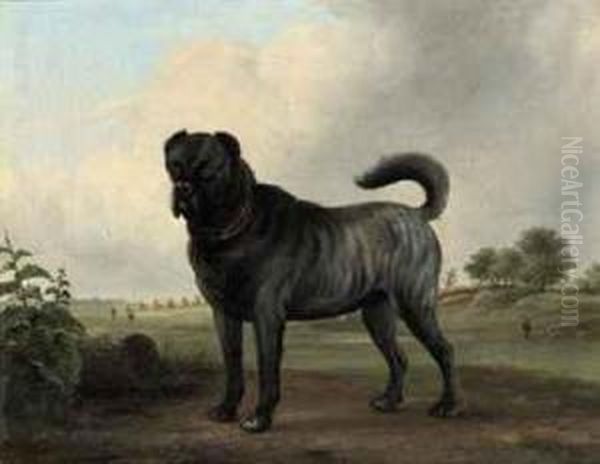 A Mastino Napolitano Oil Painting by Jan Van Ravenswaay