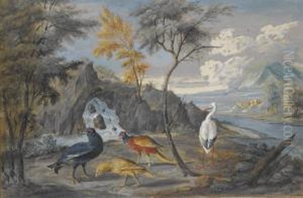 A Stork, A Pheasant, A Blackcock And Another Bird In Alandscape Oil Painting by Willem Van Royen