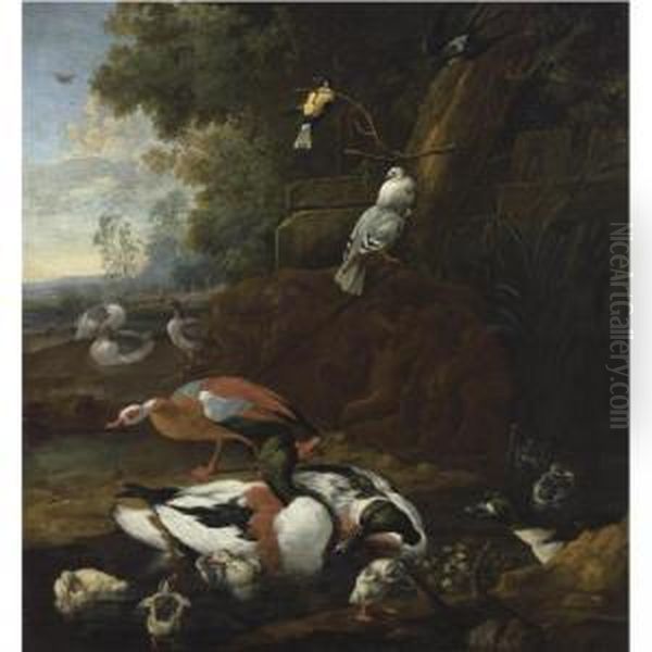 Wild Ducks, Geese, Two Doves, A Swallow And A Great Tit In A Landscape Oil Painting by Willem Van Royen