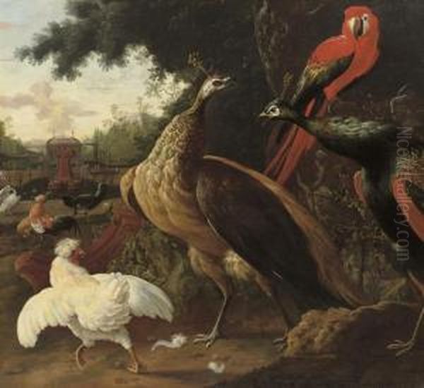 A Parrot, Peacocks, Hens And Other Birds In A Park Landscape Oil Painting by Willem Van Royen