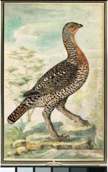 Study Of A Grouse Or Ptarmigan In A Landscape Oil Painting by Willem Van Royen