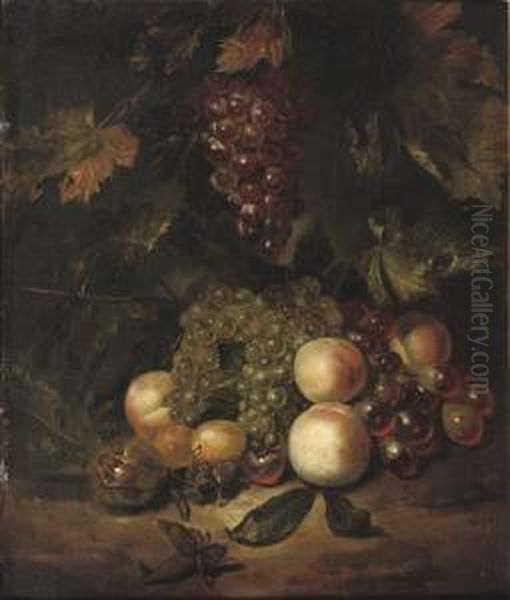 Black And White Grapes, Peaches, Plums, Chest- And Hazelnuts On A Forest Floor Oil Painting by Willem Frederik van Royen