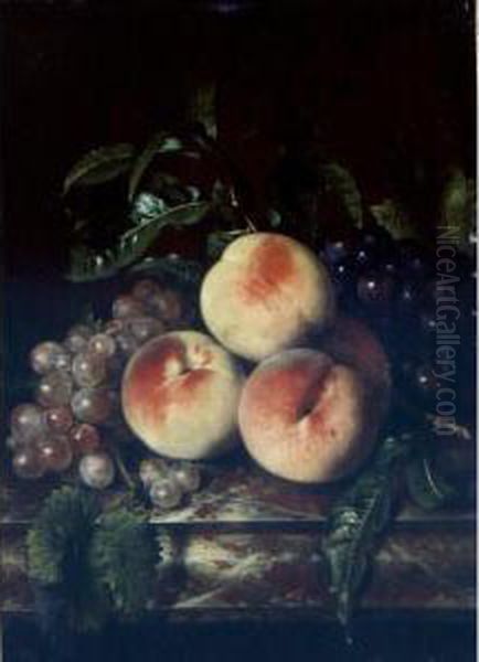 Still Life Of Grapes And Peaches On A Marble Ledge Oil Painting by Willem Frederik van Royen