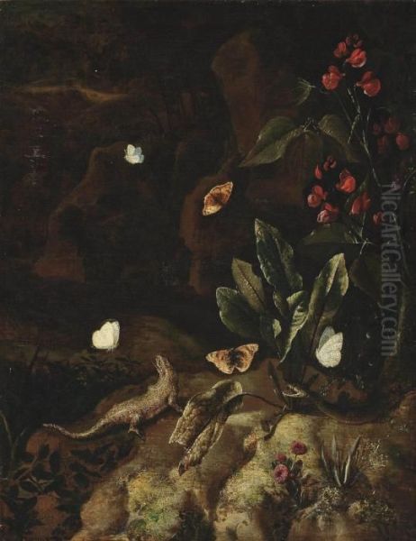 A Forest Floor With A Snake Oil Painting by Otto Marseus Snuff. Van Schrieck