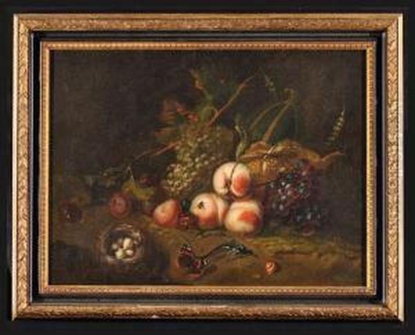 Natura Morta Con Frutta, Nido Con Uova E Farfalle Oil Painting by Otto Marseus Snuff. Van Schrieck