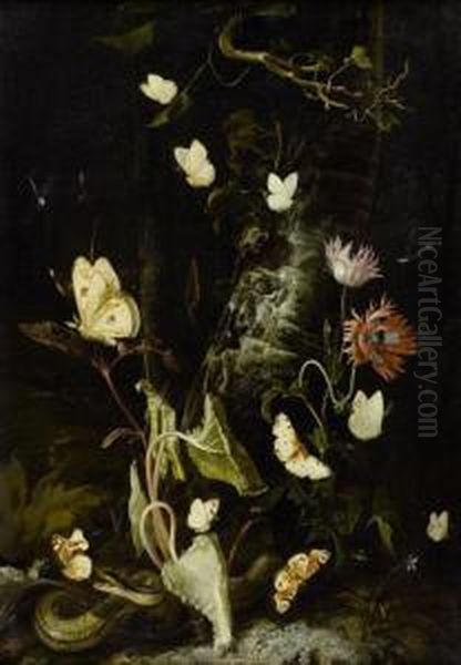 Forest Still Life With Butterflies, Snake, Frog And Dragon Fly Oil Painting by Otto Marseus Snuff. Van Schrieck