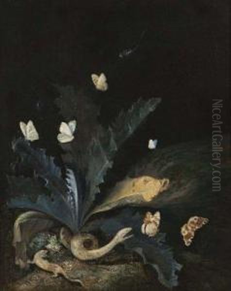 Sous-bois Anime De Papillons Oil Painting by Otto Marseus Snuff. Van Schrieck