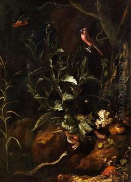 Grosses Stilleben Mit Zwei Schlangen, Krote, Spinne Und Anderenkleintieren Oil Painting by Otto Marseus Snuff. Van Schrieck