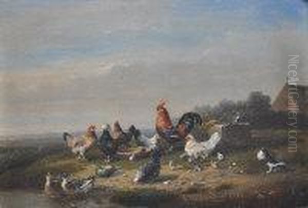 Poultry In The Farmyard Oil Painting by Franz van Severdonck