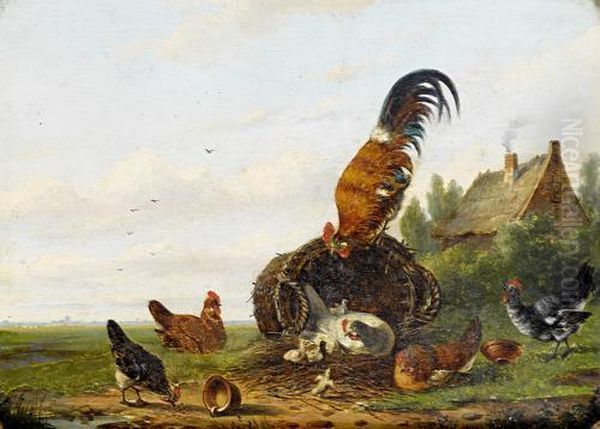 Farmyard Fowl Oil Painting by Franz van Severdonck