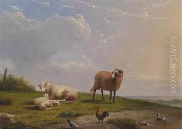 Sheep Oil Painting by Franz van Severdonck