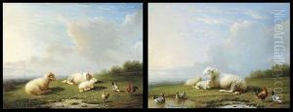 Paysages Avec Moutons Et Poules Oil Painting by Franz van Severdonck