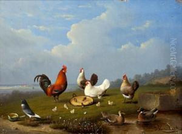 Chickens, Ducks And Pigeons In A Landscape Oil Painting by Joseph Van Severdonck