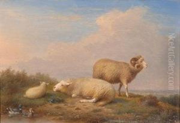 Study Of A Ram, Ewe, And A Lamb On A
Moorland Rise Oil Painting by Francois Van Severdouk