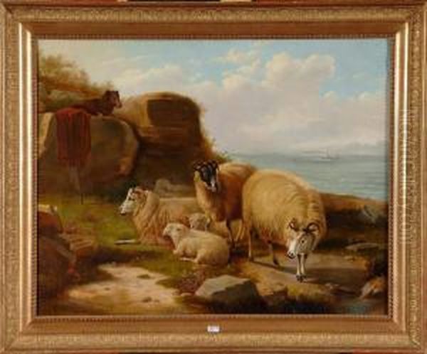 Moutons Au Bord De La Mer Oil Painting by Jacob Van Stry