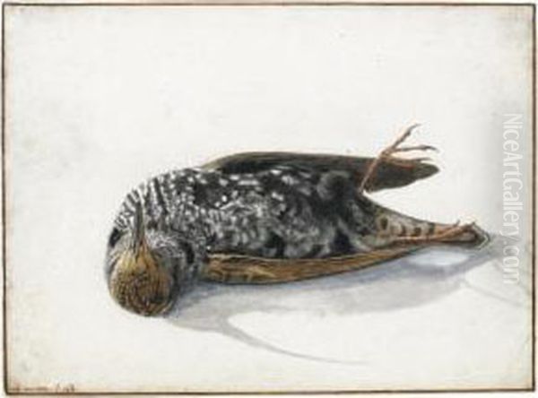 A Dead Starling Oil Painting by Rochus Van Veen