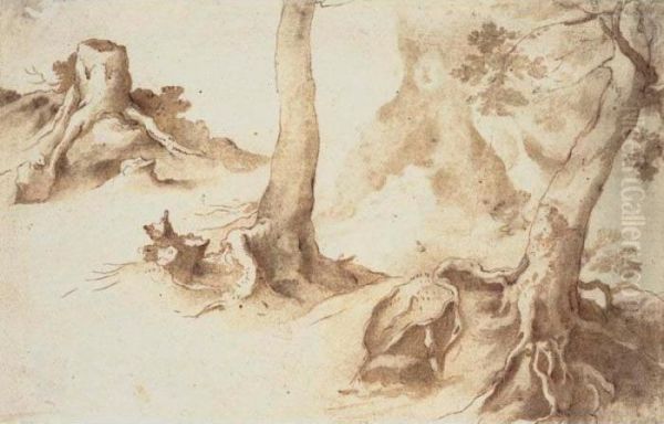 Recto And Verso: Studies Of Tree Trunks And Tree Stumps Oil Painting by Paulus Van Vianen