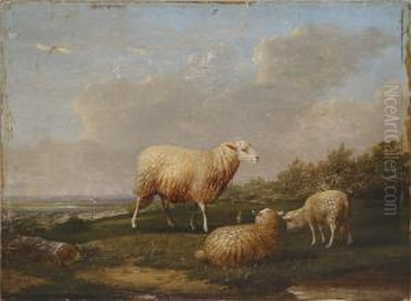 Sheep Scene Oil Painting by Francois Vandeverdonck