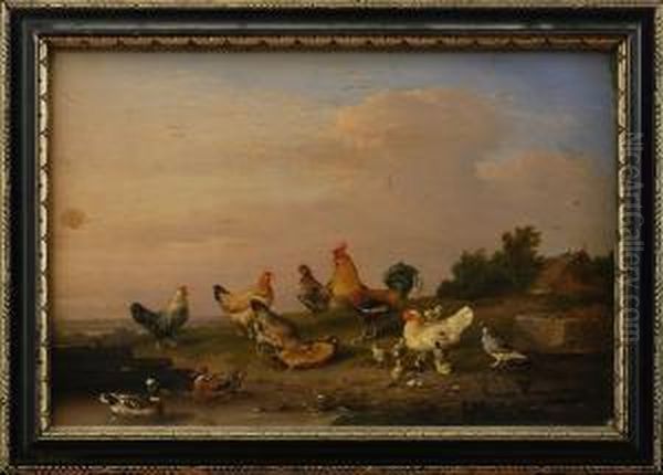 Rooster, Hens, Ducks And A Pigeon Oil Painting by Francois Vandeverdonck