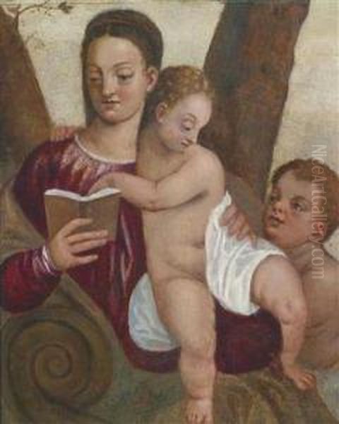 The Virgin And Child With The Infantbaptist / La Madonna Con Bambino E San Giovannino Oil Painting by (Alessandro) Padovanino (Varotari)