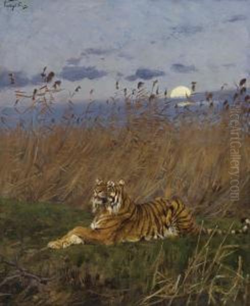 A Tiger Among Rushes In The Moonlight Oil Painting by Geza Vastagh