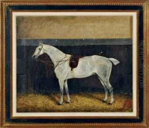 Portrait Of A Dappled Grey Horse Oil Painting by George Veal