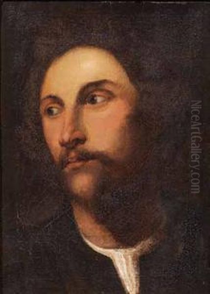 Ritratto Di Giovane Oil Painting by Tiziano Vecellio (Titian)