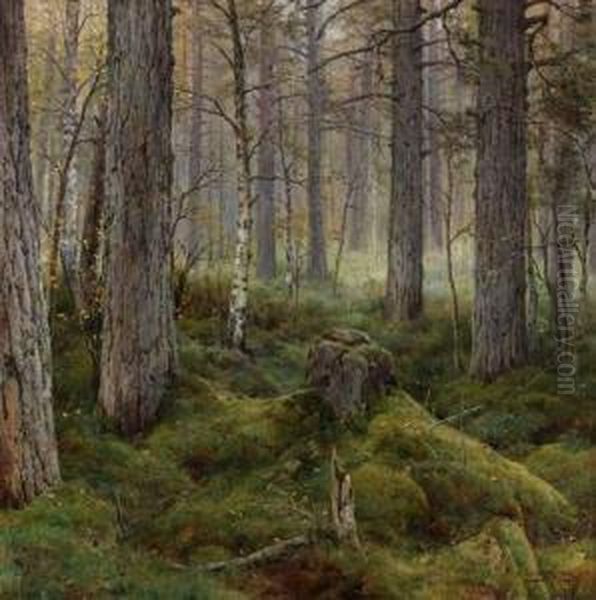 Birch Forest Oil Painting by Ivan Avgustovich Vel'ts