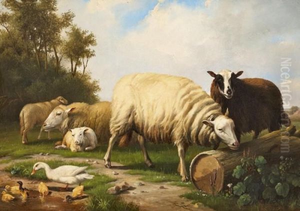 Schafe Und Enten Auf Der Weide Oil Painting by Eugene Joseph Verboeckhoven