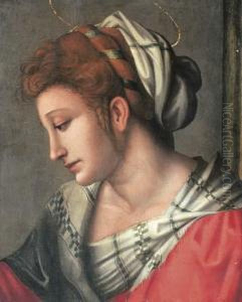 A Female Saint, Bust-length, In A Red Dress With A Whiteheaddress Oil Painting by Francesco Ubertini Bacchiacca II