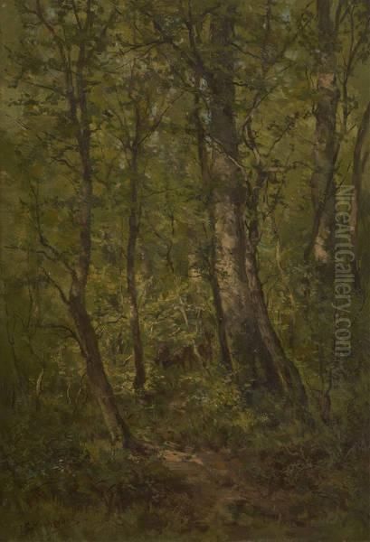 Cerf Et Biches En Foret Oil Painting by Isidore Verheyden