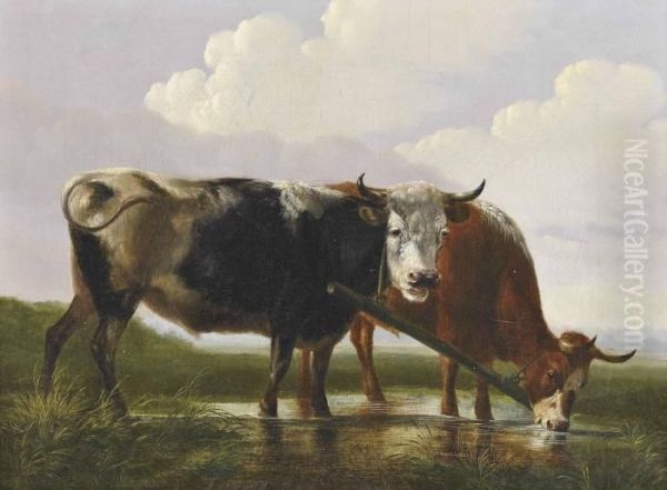 Cows At The Watering Hole Oil Painting by Albertus Verhoesen