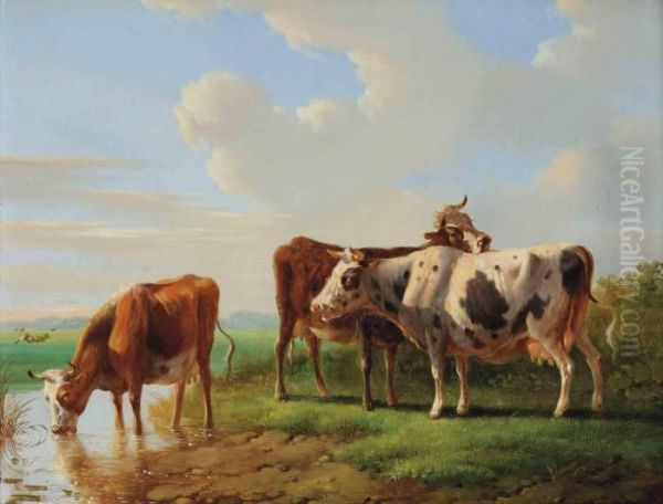 Cows Drinking Water And Resting In A Meadow Oil Painting by Albertus Verhoesen