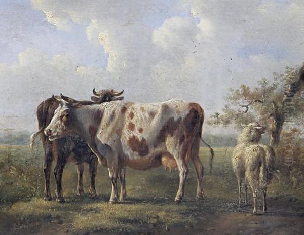 Cattle In A Field Oil Painting by Albertus Verhoesen