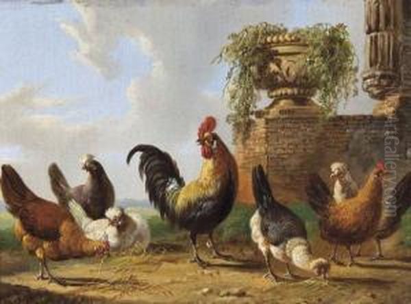 Poules De Basse-cour Dans Un Paysage Oil Painting by Albertus Verhoesen