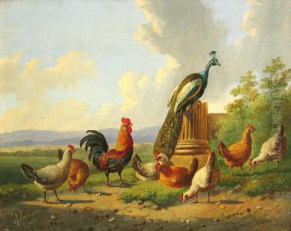 A Peacock And A Flock Of Chickens In Alandscape Oil Painting by Albertus Verhoesen