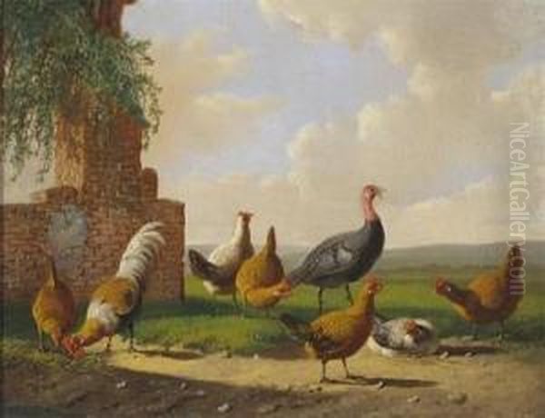 Chickens And A Turkey By A Ruin Oil Painting by Albertus Verhoesen