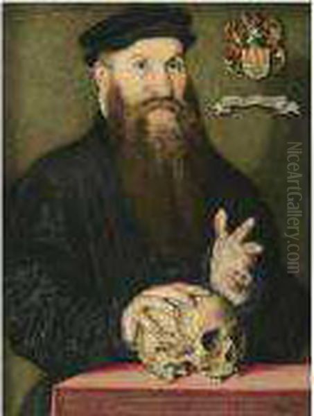 Portrait Of A Bearded Gentleman Oil Painting by Jan Cornelisz Vermeyen